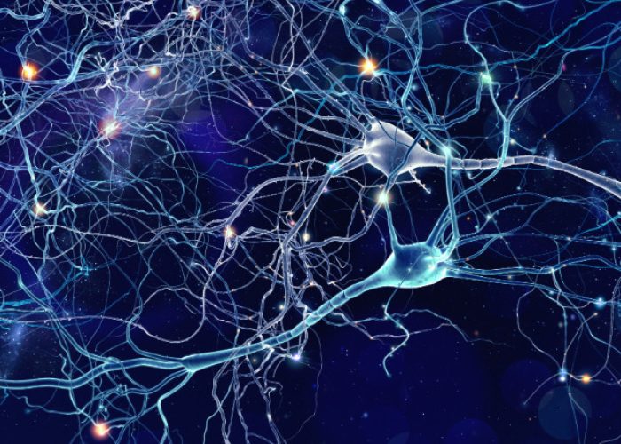 El tofersen muestra resultados prometedores a largo plazo para el tratamiento de la ELA causada por mutaciones en el gen SOD1