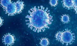 El virus Epstein Barr se ha relacionado con diferentes enfermedades como la esclerosis múltiple o el lupus.