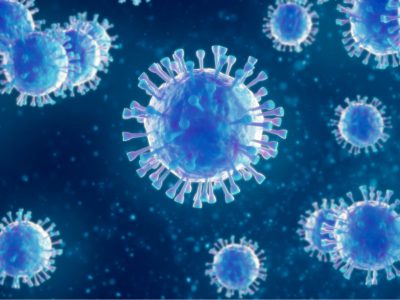 El virus Epstein Barr se ha relacionado con diferentes enfermedades como la esclerosis múltiple o el lupus.