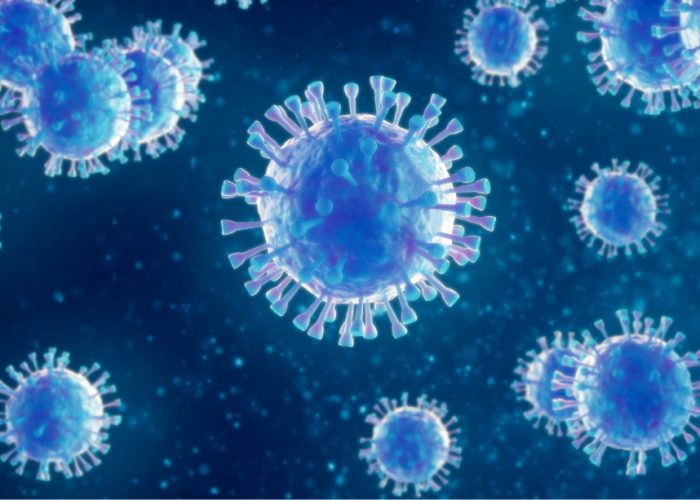 El virus Epstein Barr se ha relacionado con diferentes enfermedades como la esclerosis múltiple o el lupus.