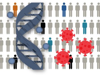 Los resultados del estudio, primero en considerar los factores epigenéticos en relación con la enfermedad COVID-19, indican que el epigenoma de las personas infectadas con el coronavirus SARS-CoV-2 influye en la gravedad de COVID-19. Imagen: Genotipia.