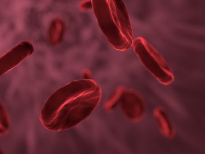 Alterando el silenciamiento del gen de la hemoglobina fetal, se podrían evitar algunas de las hemopatías más frecuentes. Imagen: Pixabay.