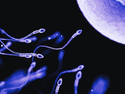 Una reciente investigación ofrece una nueva aproximación para el desarrollo de una píldora anticonceptiva masculina. Imagen: Science Photo Library vía Canva.