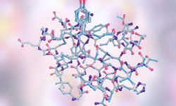 estructura molecular de la insulina Un reciente estudio ha identificado una proteína implicada en la sensibilidad a la insulina