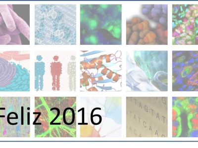 feliz 2016