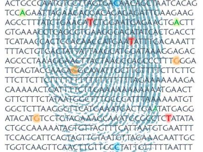 La secuencia del ADN es como una huella dactilar, específica de cada persona, con información relevante para su desarrollo y para su salud. Imagen: A.Tolosa (MedigenePress SL)