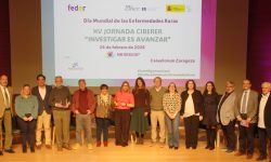 Durante la jornada, responsables de FEDER explicaron su colaboración en la búsqueda de diagnóstico para pacientes con enfermedades raras de IMPaCT-GENóMICA y se presentaron iniciativas de colaboración entre personal investigador del CIBERER y asociaciones de pacientes. Imagen: CIBER.