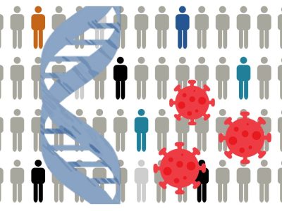 La susceptibilidad a determinadas infecciones víricas se ve influida por factores genéticos. Imagen: Genotipia.