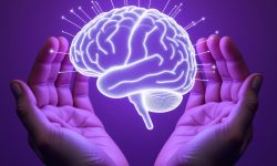 epilepsia genética neuropediatría