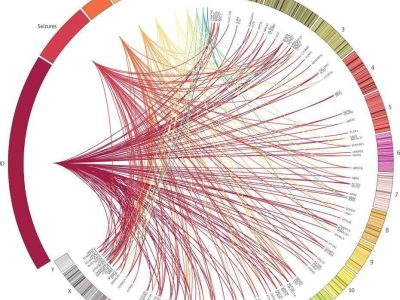 Diagnósticos genéticos individuales asociados con las características fenotípicas catalogadas en bases de datos de desórdenes del desarrollo. Las líneas unen la localización genómica de cada gen con los fenotipos de cada niño. (Wright CF, et al. Genetic diagnosis of developmental disorders in the DDD study: a scalable analysis of genome-wide research data. The Lancet. 2014. Doi: 10.1016/S0140-6736(14)61705-0)