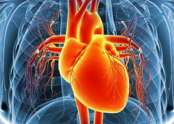 El infarto de miocardio es una de las principales causas de muerte a nivel mundial. Imagen: canva.