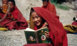genes tibetanos