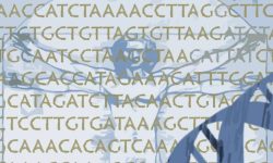 identificación ADNb