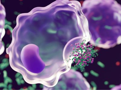 Identifican nuevo mecanismo de control de la inflamación