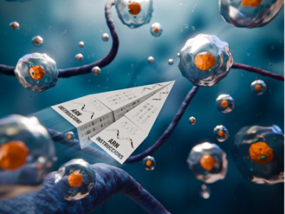 Casi todos los cánceres secuestran el splicing celular, alterando la forma en que los mensajes de ARN mensajero se cortan y se pegan.