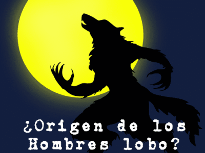 imagen-destacada-lobo