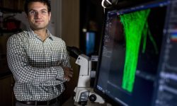 Khalid Salaita, investigadore en la Universidad Emory y director del trabajo que ha introducido importantes avances en el desarrollo de nanobots basados en ADN con aplicaciones biomédicas. Imagen: Bryan Meltz, Universidad de Emory.