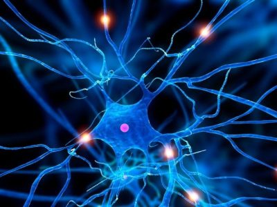 La epigenética tiene un papel en el desarrollo y progresión de enfermedades neurodegenerativas. Imagen: Canva.