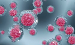 Las terapias CAR-T in vivo podrían utilizarse en más enfermedades y pacientes.