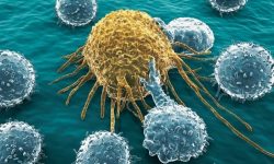 Ilustración artística de linfocito atacando a una célula tumoral. Imagen: canva