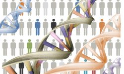 El número exacto de genes del genoma humano sigue sin conocerse. Imagen: MedigenePress S.L.