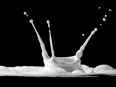 Los investigadores plantean dos posibles escenarios que promovieran la persistencia de la lactasa y favorecieran la selección de la tolerancia a la lactosa: periodos de hambrunas e infecciones zoonóticas. Imagen: Myriams-Fotos, Pixabay.