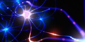 El estudio ha identificado en ratones el mecanismo que conecta la alteración de un gen con los síntomas asociados al autismo