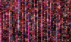 El estudio ha identificado una nueva fuente de mutaciones en el genoma