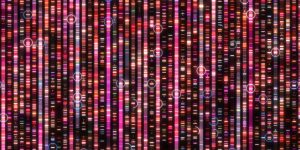 El estudio ha identificado una nueva fuente de mutaciones en el genoma