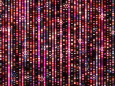 El estudio ha identificado una nueva fuente de mutaciones en el genoma