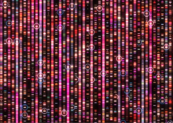 El estudio ha identificado una nueva fuente de mutaciones en el genoma
