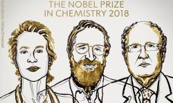 nobel prize química