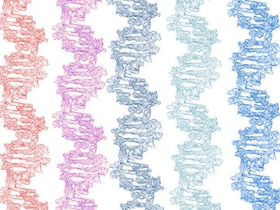 La secuenciación de ADN se ha revelado como un aliado importante en la identificación de dianas terapéuticas para el cáncer. Imagen: Genotipia.