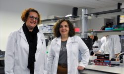 Las investigadoras Pilar Francino y Mª José Solbes del Área de Genómica y Salud de FISABIO.