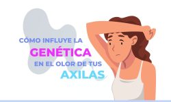 blog genética olor axilas abcc11