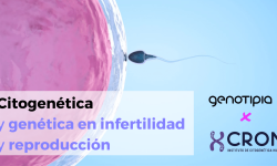 portada citogenetica y genetica en infertilidad y reproduccion genotipia