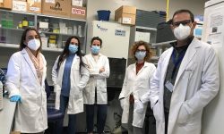 La línea de investigación relativa a este proyecto la lleva a cabo desde 2016 un equipo integrado por investigadores del Centro Andaluz de Biología Molecular y Medicina Regenerativa (Cabimer) y del Servicio de Oftalmología del Hospital Universitario Virgen Macarena.