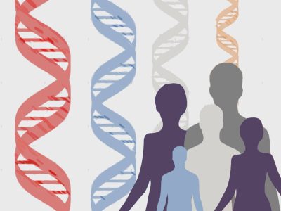 El genoma humano de referencia es una secuencia utilizada como estándar frente a la que se comparan los genomas obtenidos en investigación o en la práctica clínica.. Imagen: MedigenePress SL.