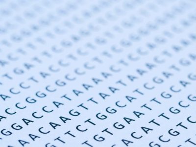 Las técnicas de secuenciación masiva representan uno de los avances más importantes para el diagnóstico genético. Imagen: Canva.