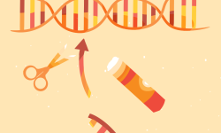 terapia génica, edición del genoma