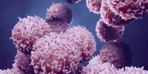 Es posible restablecer la producción de insulina mediante el trasplante de células pancreáticas genéticamente modificadas.