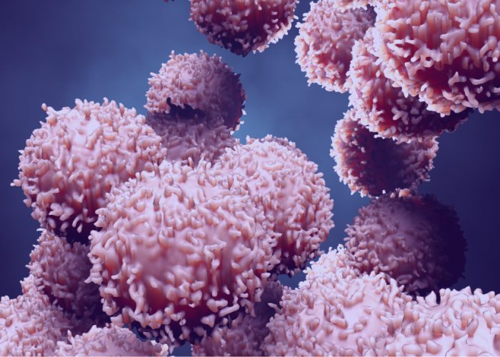Es posible restablecer la producción de insulina mediante el trasplante de células pancreáticas genéticamente modificadas.