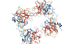 La concentración de triptasa en suero es un rasgo bioquímico común que con frecuencia se hereda de forma autosómica dominante, y está correlacionado con el número de copias del gen TPSAB1. Además, este rasgo está asociado a un aumento en la prevalencia de un síndrome multisistémico. Imagen: Estructura molecular de la triptasa alfa en humanos. Proteindatabase 1LTO, NLG viewer.