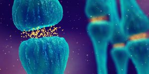 un análisis de proteómica identifica perfiles proteicos comunes entre diferentes enfermedades neurodegenerativas