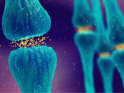 un análisis de proteómica identifica perfiles proteicos comunes entre diferentes enfermedades neurodegenerativas