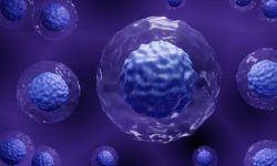 Un estudio muestra que la epigenética puede utilizarse para regular genes de enfermedades inflamatorias.