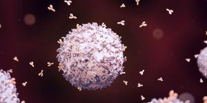 La actividad de un gen con efecto protector en individuos jóvenes resulta más perjudicial en edades avanzadas.