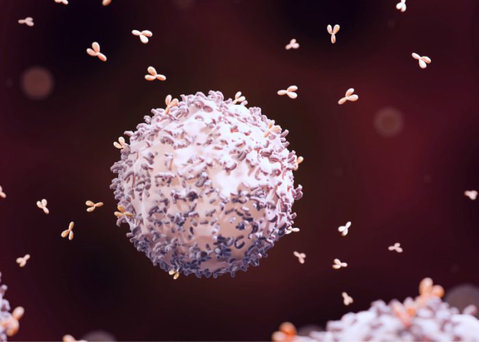 La actividad de un gen con efecto protector en individuos jóvenes resulta más perjudicial en edades avanzadas.