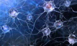 un nuevo análisis de sangre para ELA está basado en microARNs de vesículas de origen neuronal