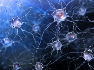 un nuevo análisis de sangre para ELA está basado en microARNs de vesículas de origen neuronal